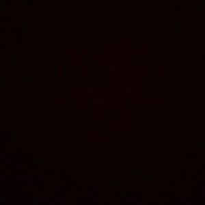 Meet your Posher, Alexia